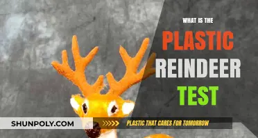 The Plastic Reindeer Test: A Holiday Safety Guide
