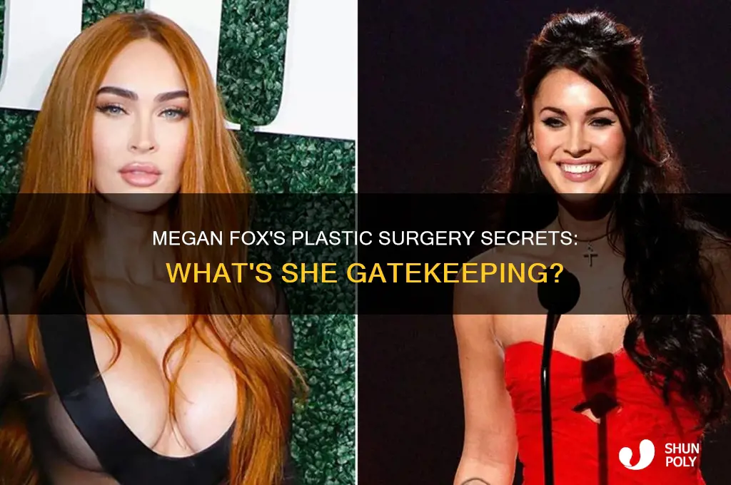 what is the plastic surgery megan fox is gatekeeping