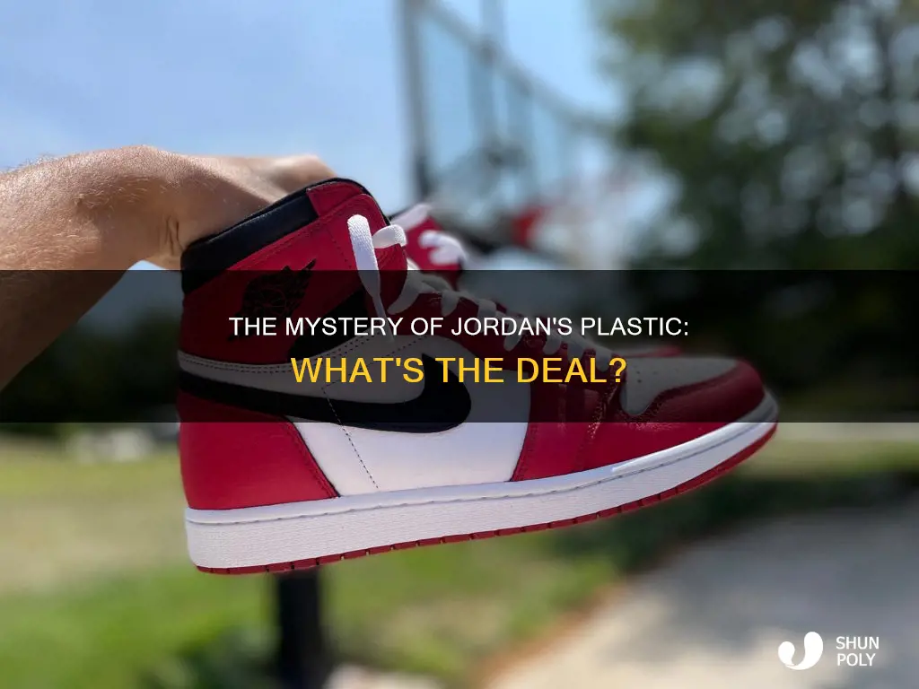 what is the plastic thing on jordans