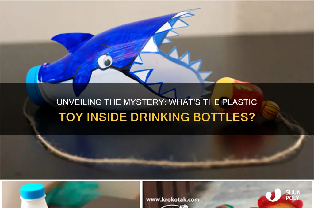 what is the plastic toy inside the drinking bottle