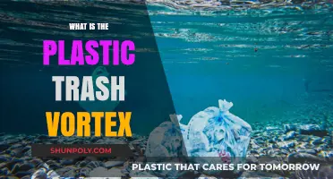The Plastic Trash Vortex: A Growing Ocean Menace