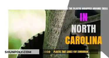 Unwrapping the Mystery: Why Trees in North Carolina Are Covered in Plastic