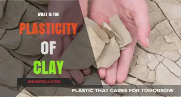 The Clay's Plasticity: Understanding the Art of Molding