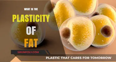 The Malleable Nature of Fats