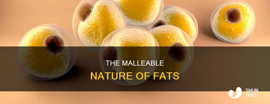 what is the plasticity of fat