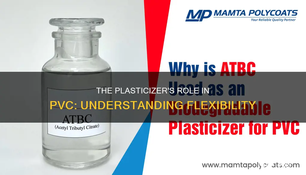 what is the plasticizer in pvc