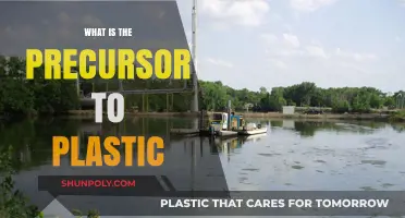The Evolution of Plastic: Precursors to Modern Materials