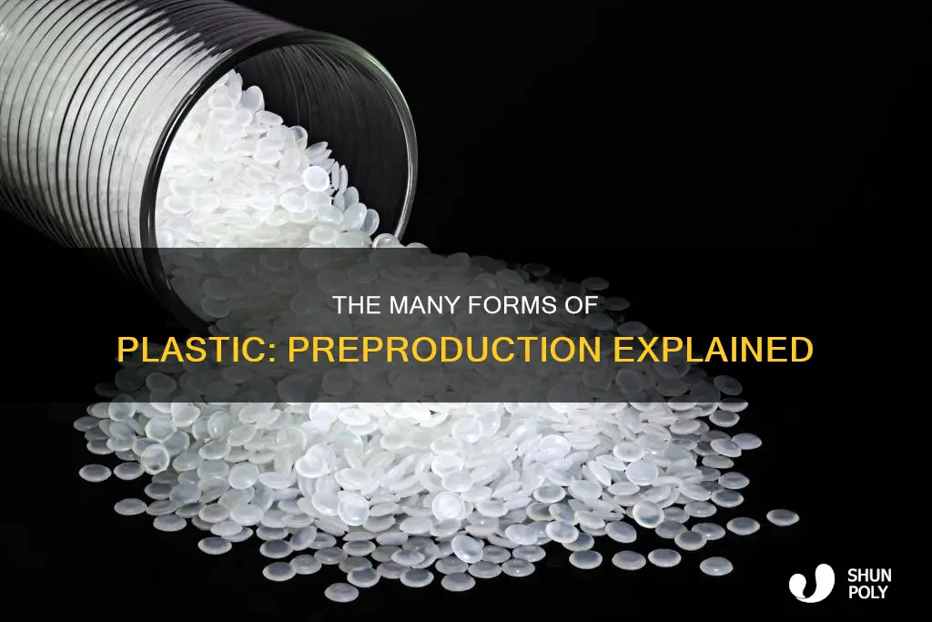what is the preproduction form of plastic