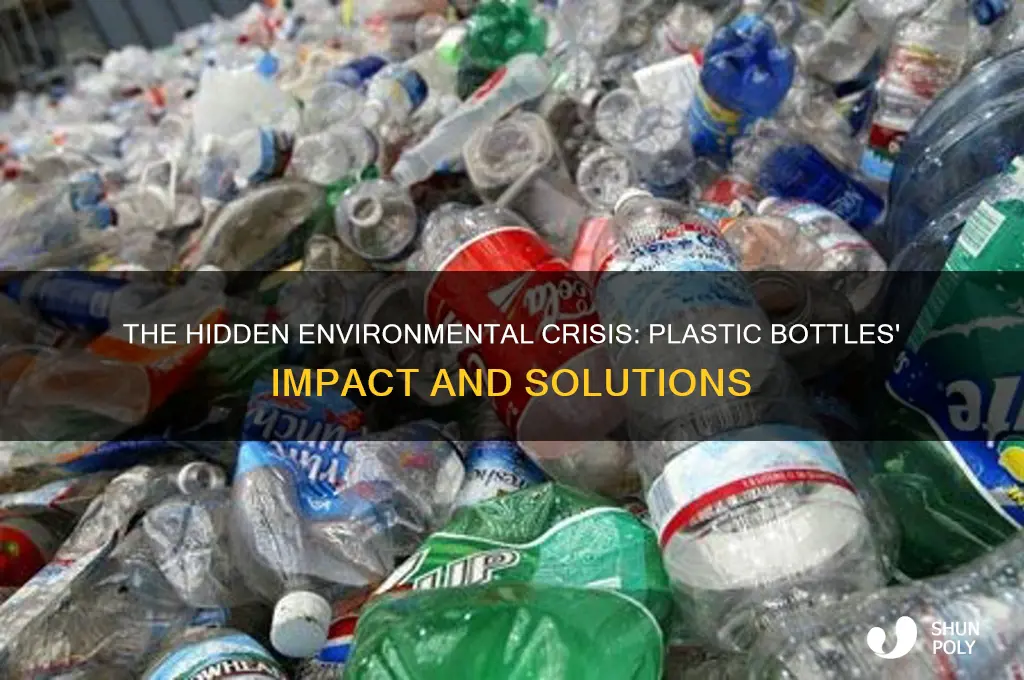 what is the problem with plastic bottles