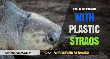 Plastic Straws: Harmful Impact on the Environment