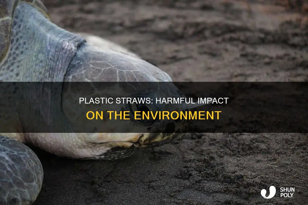 what is the problem with plastic straqs
