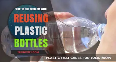 Reusing Plastic Bottles: Hidden Dangers and Environmental Consequences Explained