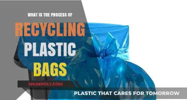 Recycling Plastic Bags: A Step-by-Step Guide to the Process