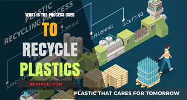 Unveiling the Journey: How Plastics are Recycled