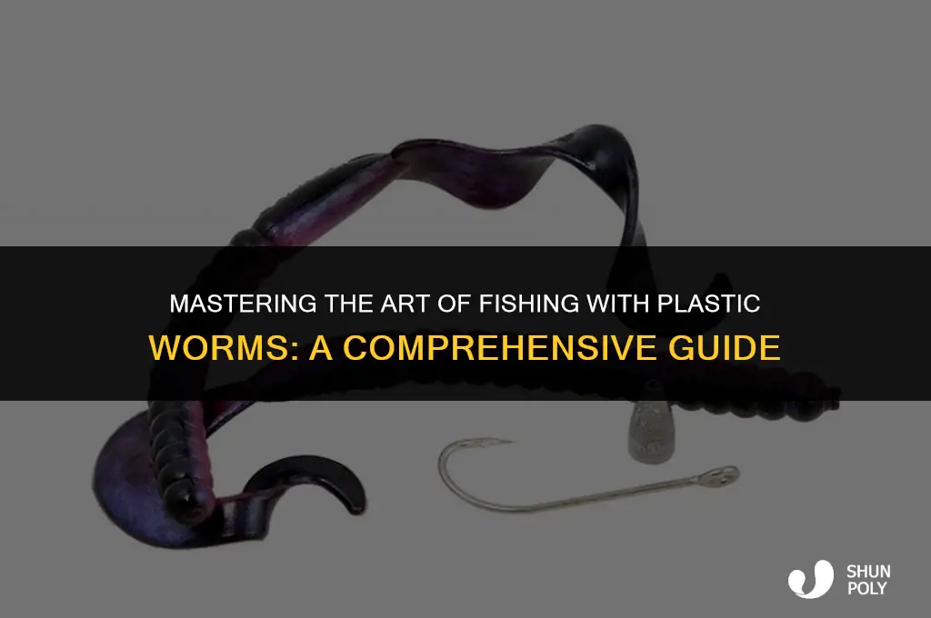 what is the proper way to use a plastic worm