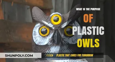 Plastic Owls: Effective Scarecrow Solution for Gardens and Fields