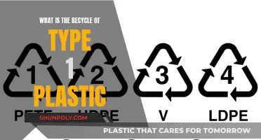How Type 1 Plastic is Recycled and Reused