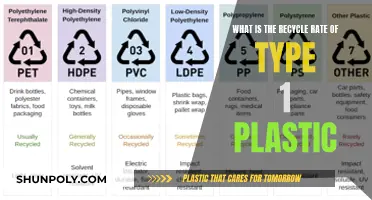Recycling Type 1 Plastic: What's the Rate?