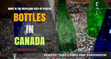 Canada's Plastic Bottle Recycling Rate: Current Trends and Challenges