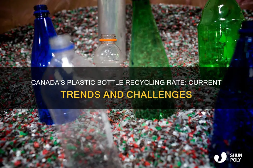 what is the recycling rate of plastic bottles in canada