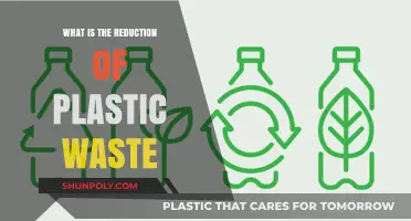 Reducing Plastic Waste: A Guide to Environmental Conservation