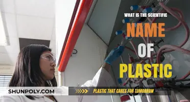The Evolution of Plastic: Scientific Nomenclature