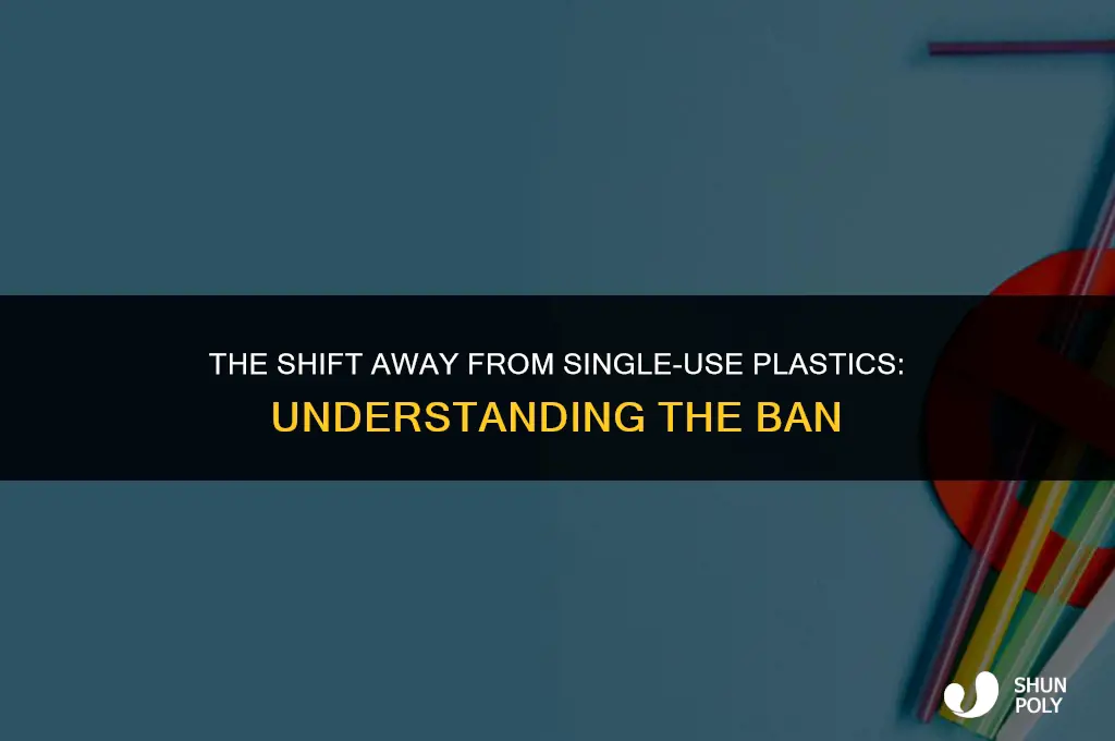 what is the single use plastic ban