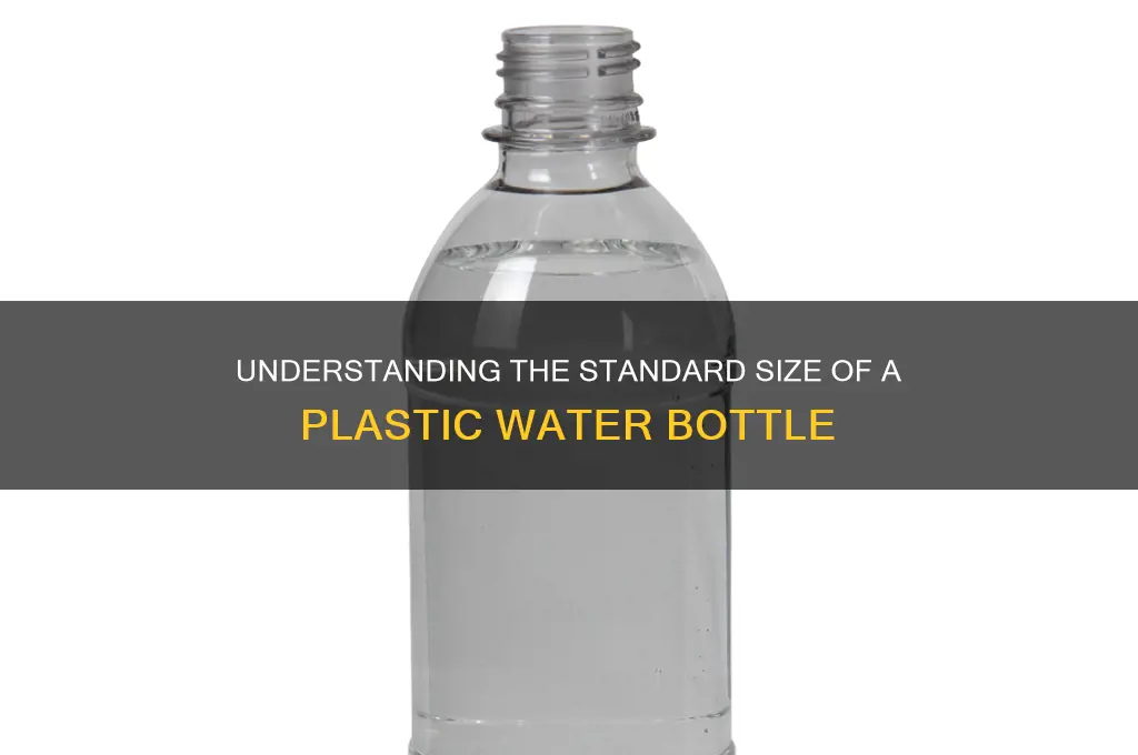what is the size of a plastic water bottle