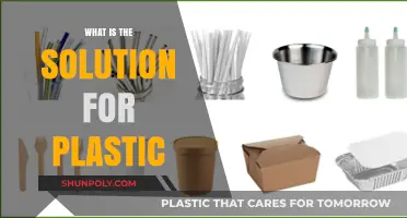 The Plastic Problem: Sustainable Solutions