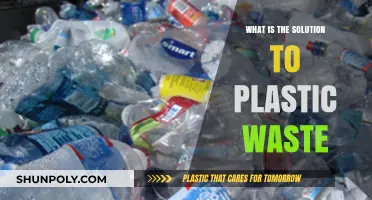 Solving Plastic Pollution: Sustainable Solutions for a Greener Tomorrow