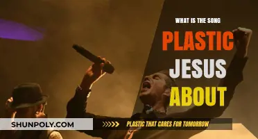 Plastic Jesus: The Song's True Meaning