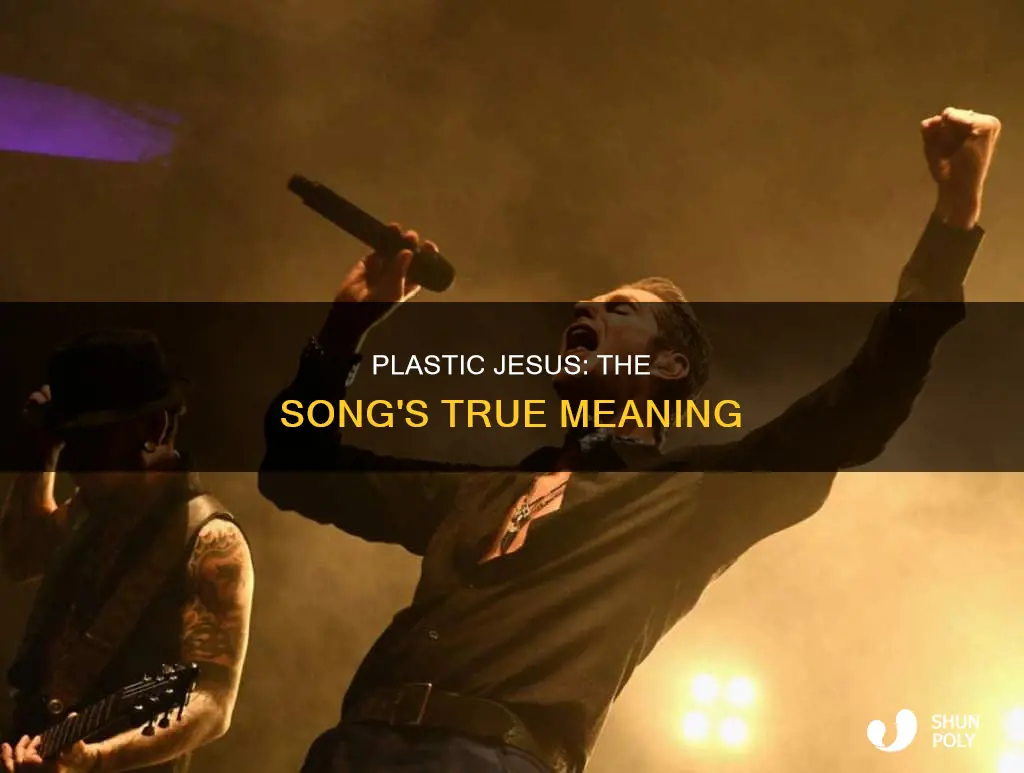 what is the song plastic jesus about