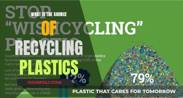 Recycling Plastics: Understanding the Sources and Their Impact