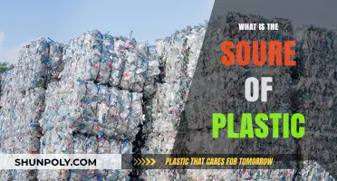 The Evolution of Plastic: From Natural to Synthetic