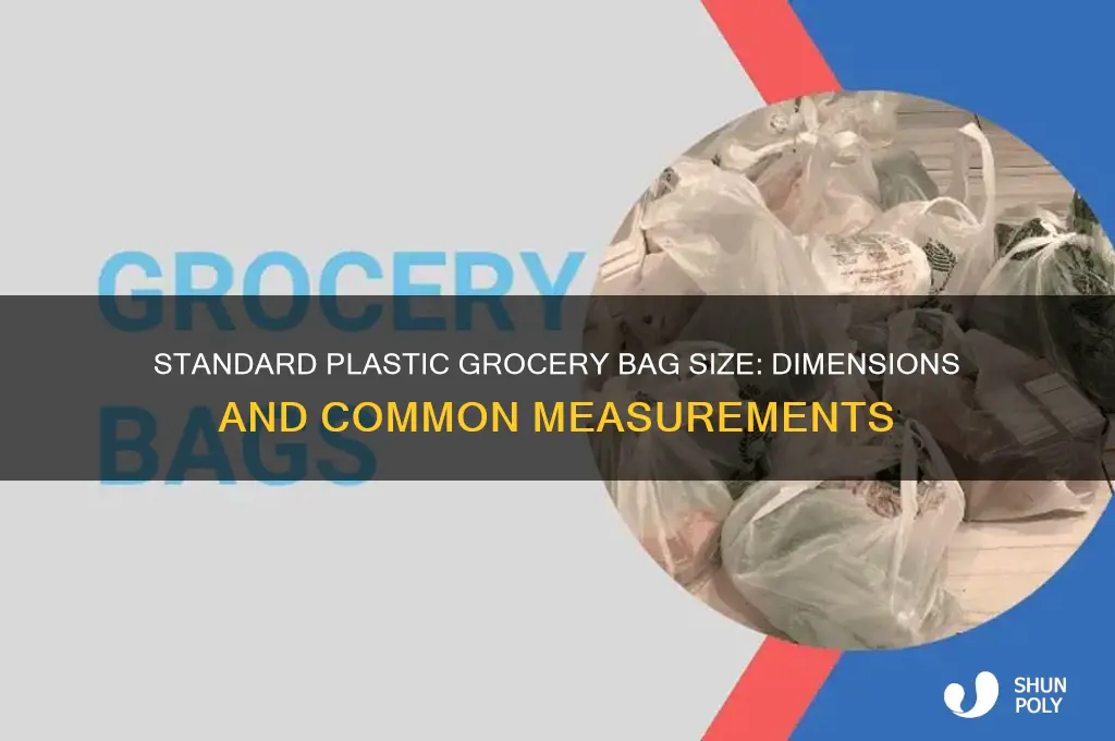 what is the standard size of a plastic grocery bag