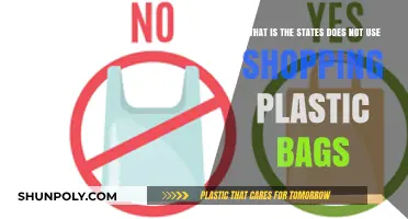 States Leading the Way: Banning Shopping Plastic Bags for a Greener Future
