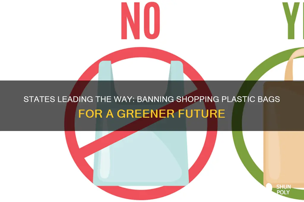 States Leading The Way: Banning Shopping Plastic Bags For A Greener