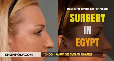 Exploring the Average Cost of Plastic Surgery in Egypt