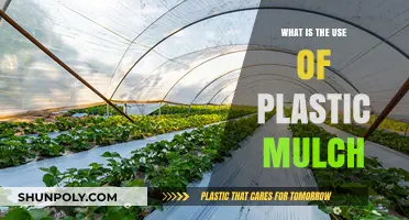 Exploring the Benefits and Uses of Plastic Mulch in Gardening