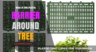 Mysterious Plastic Barriers: Why Are They Around Trees?