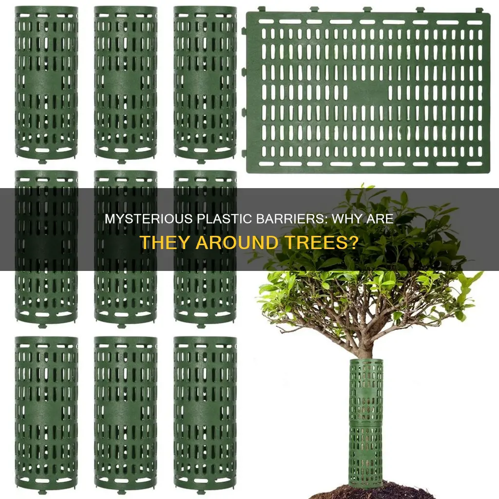 what is this plastic barrier around tree