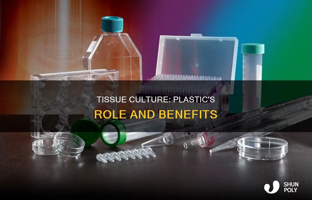 what is tissue culture treated plastic