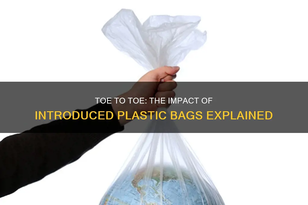 what is toe to toe introduced plastic bags