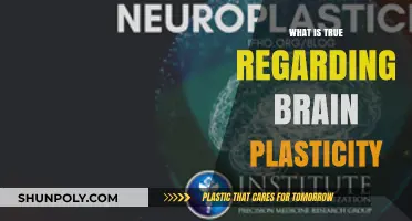 Brain Plasticity: Unlocking the Power of Neuroplasticity