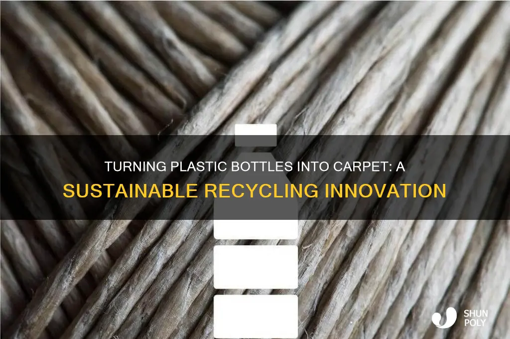 what is turning plastic bottles into carpet an example of