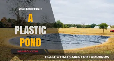 Explore the Secrets Under Your Plastic Pond