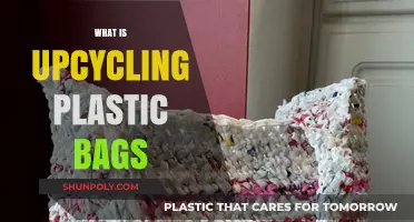 Transforming Trash: The Art of Upcycling Plastic Bags Creatively