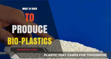 Sustainable Alternatives: Exploring the Raw Materials Behind Bioplastics