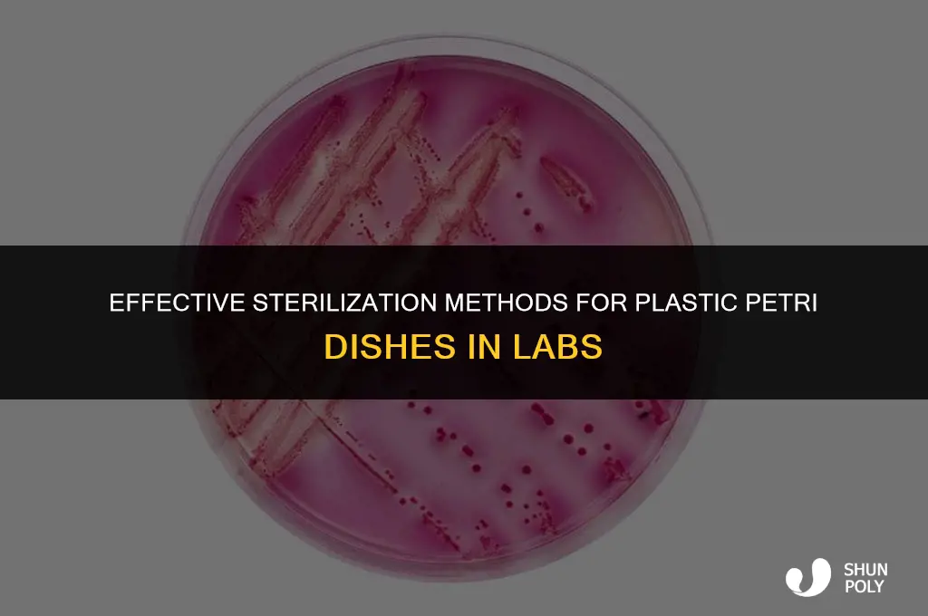 what is used to sterilize a plastic petri dish