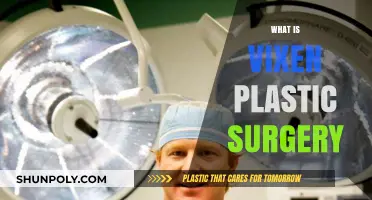 Understanding Vixen Plastic Surgery: Trends, Risks, and Transformations Explained